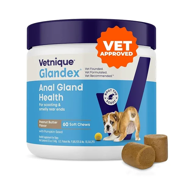 Vetnique Glandex Anal Gland Chews for Dogs, Pumpkin 60ct