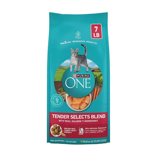 Purina ONE Tender Selects Salmon Dry Cat Food 7lb